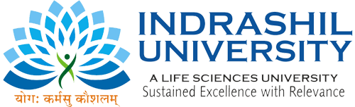 Indrasheel University